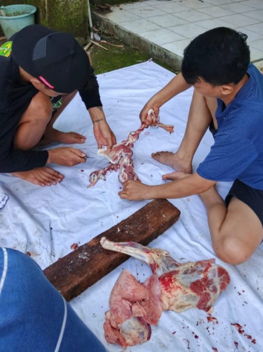 Penyakit organ ditemukan pada 112 hewan kurban
