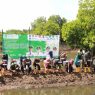 Peringati hari lingkungan hidup sedunia, kabupaten cilacap ikuti penanaman mangrove serentak
