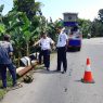 Pju keropos masih banyak ditemukan