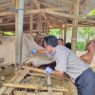 Ribuan ternak divaksin pmk dan rabies