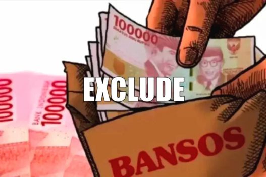 Status exclude muncul saat cek bansos ini artinya !