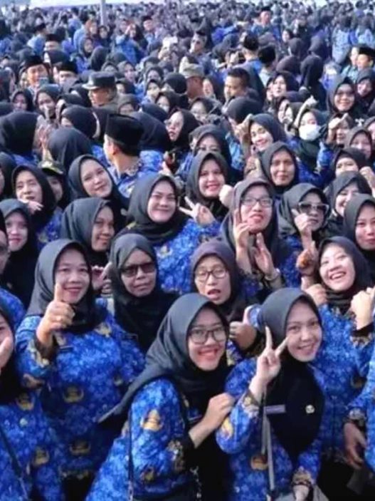 Tunjangan pns dan pppk