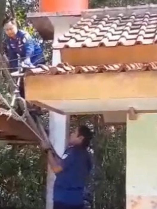 Ular cincin emas sembunyi di atap kamar mandi