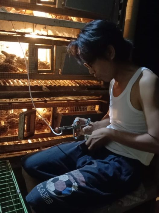 Wabah dan idul adha tak ubah harga