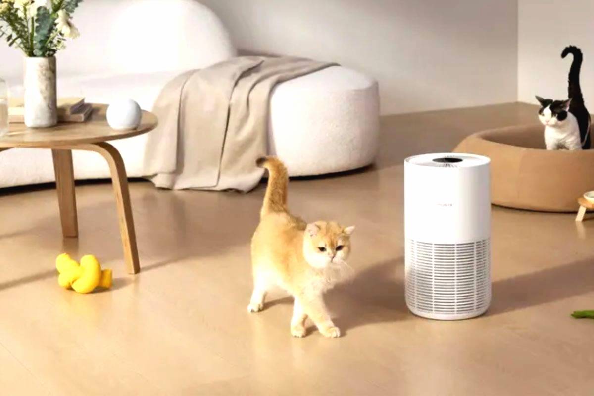 Xiaomi smart pet air purifier (1)