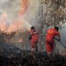 44 orang jadi tersangka karhutla riau