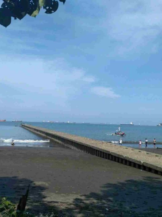 Aktivitas asik dan seru di teluk penyu