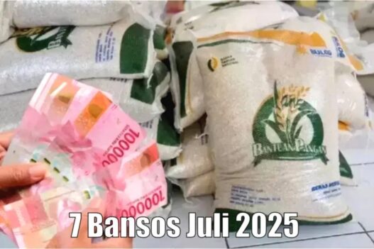 Basos juli