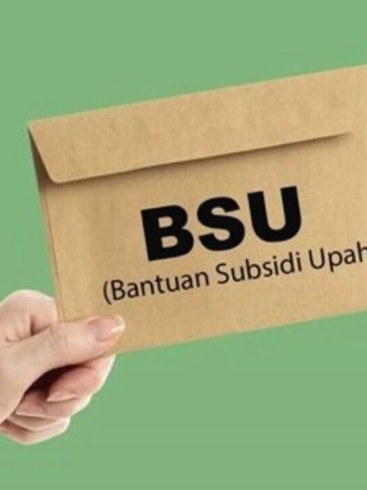 Bsu