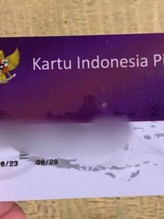 Cek pip bulan juli 2025