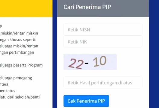Cek pip lewat aplikasi sipintar