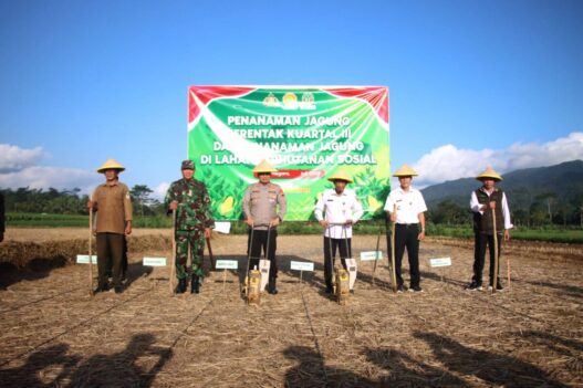 Dukung swasembada pangan, polres banjarnegara lakukan tanam serta bagi bibit jagung di desa pagelak