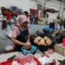 Harga kelapa masih tinggi