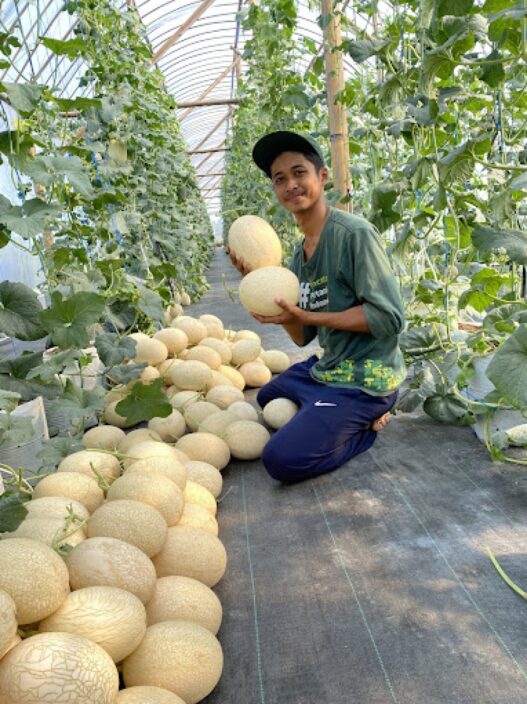 Hasil perkebunan dilirik pengusaha mancanegara