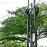 Ilustrasi tiang fiber optik ilegal