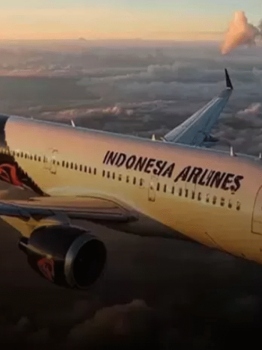 Indonesia airlines belum bisa terbang