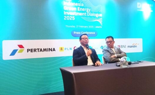 Indonesia pltn project