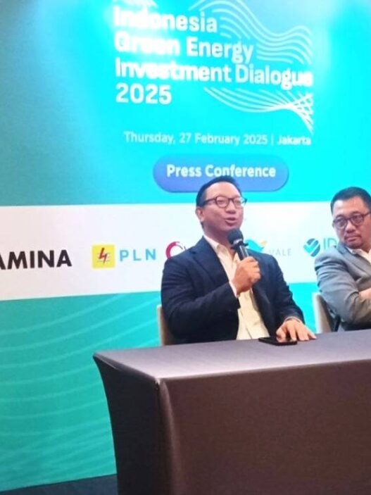 Indonesia pltn project