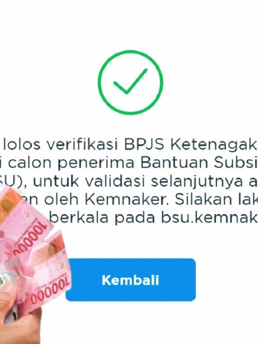 Info penyebab dan langkah yang harus dilakukan jika status bsu 2025 tiba tiba berubah menjadi tidak lolos verifikasi