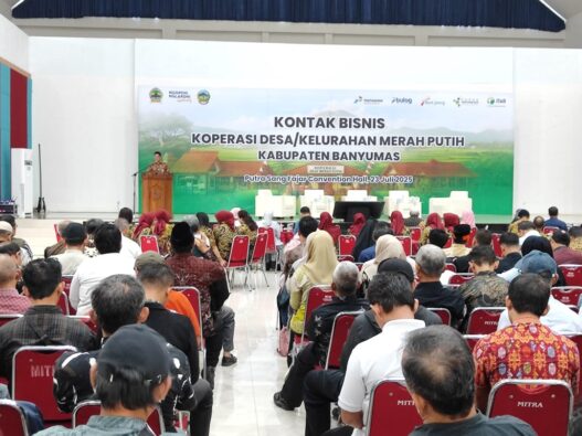 Koperasi desa didorong gandeng bumn