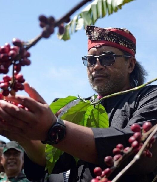 Kopi temanggung tembus pasar dunia