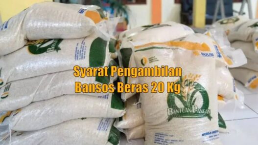 Kpm pkh dan bpnt wajib punya surat undangan untuk dapat beras 20 kg