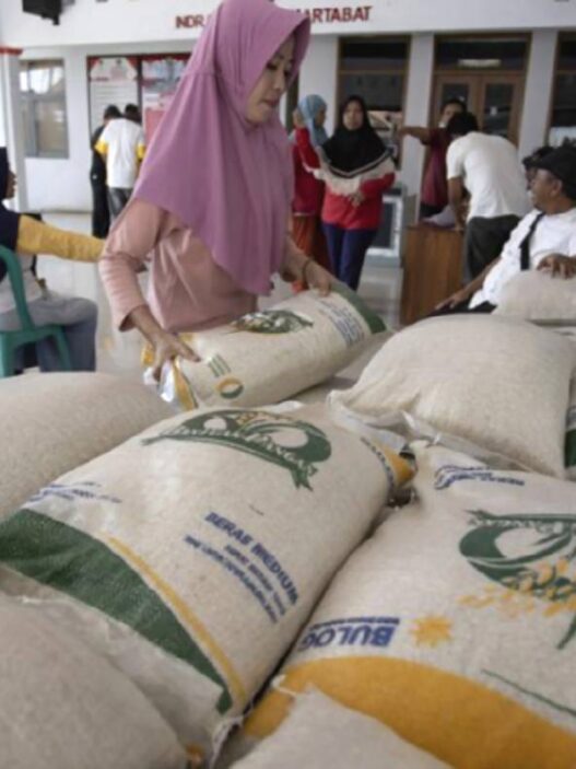 Kpm pkh dan bpnt yang ingin mendapatkan bansos beras 20 kg harus membawa syarat dokumen
