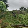 Lahan bekas tps mangkrak