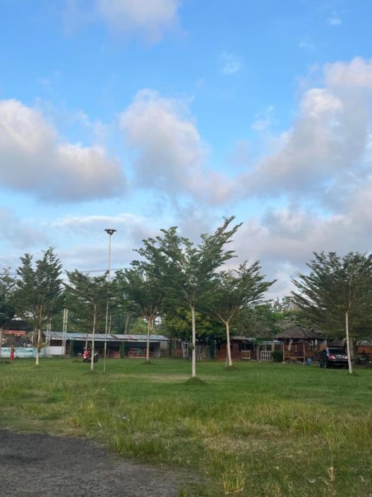 Lima desa wisata mundur