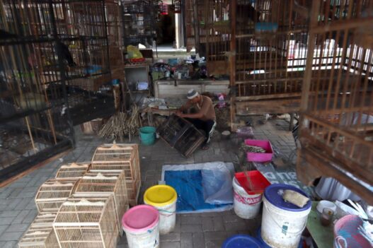 Pasar peksi bacingah sepi pengunjung