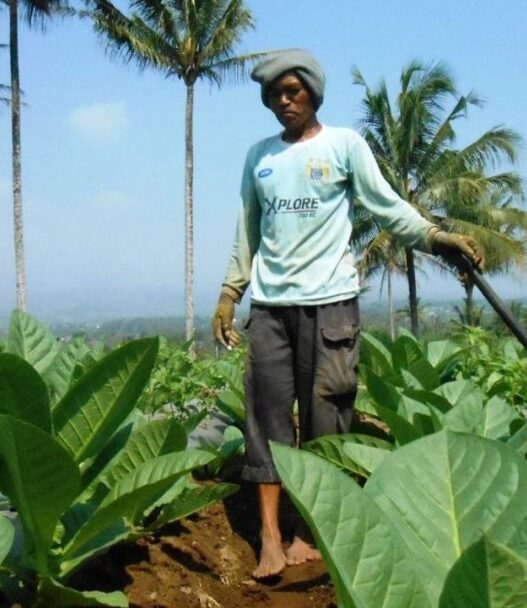 Pelaku industri desak moratorium cht