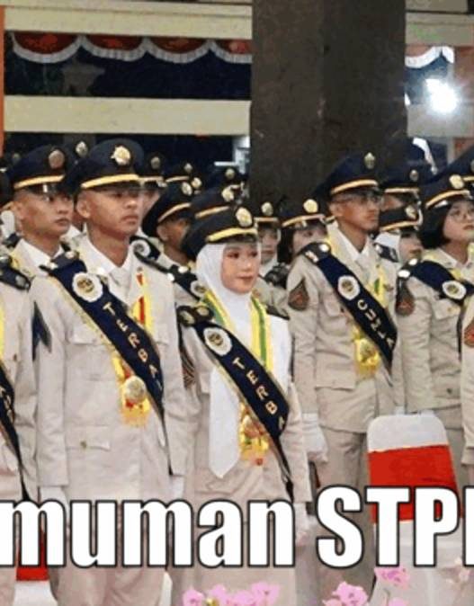 Pengumuman stpn 2025 cek hasil seleksi 7 juli di website resmi