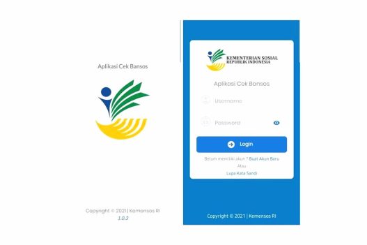 Penyebab data tidak masuk saat daftar bansos 2025 via hp