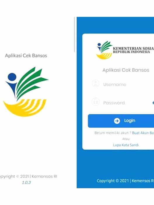 Penyebab data tidak masuk saat daftar bansos 2025 via hp