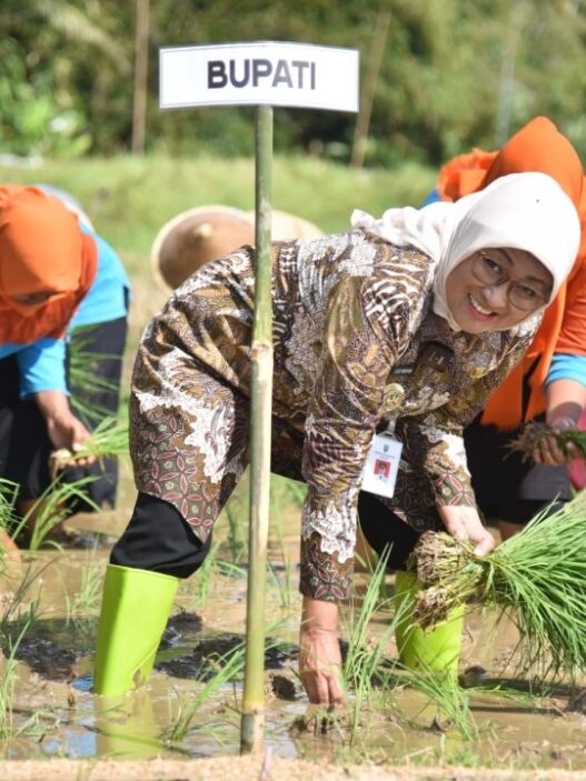 Petani purwosari mulai mt iii berkat irigasi pompa