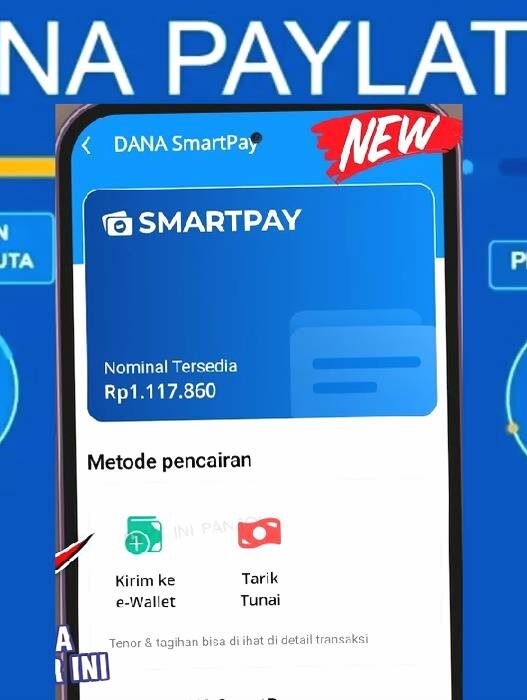 Pinjaman saldo dana