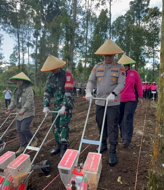 Polres tanam jagung serentak di lahan seluas 10 hektare