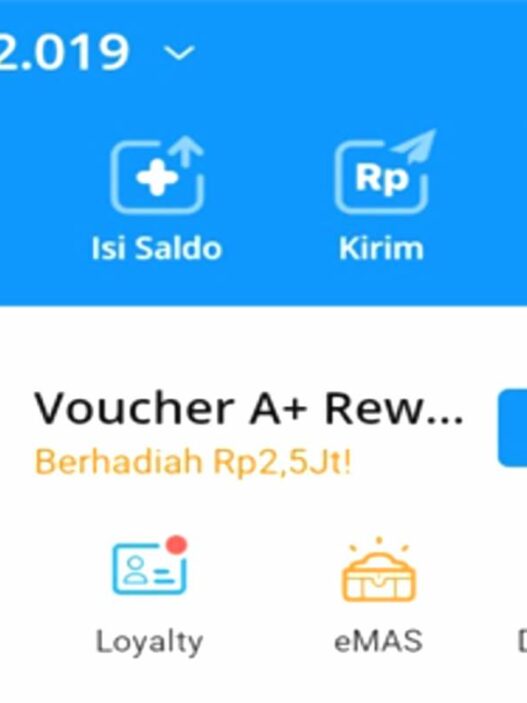Saldo dana rp300.000