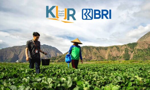 Sektor pertanian jadi target utama kur bri 2025