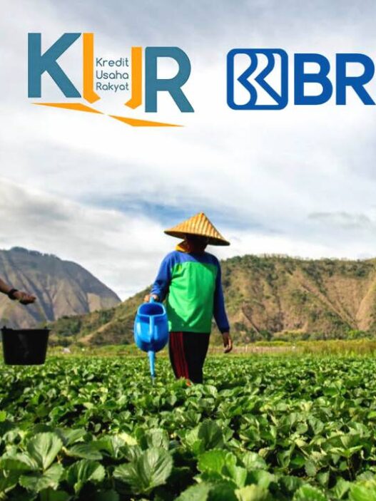 Sektor pertanian jadi target utama kur bri 2025