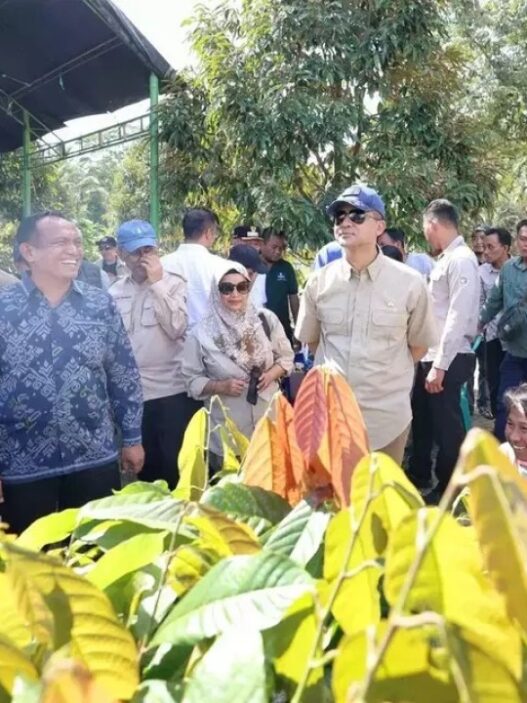Tak ada transmigrasi baru di kalbar