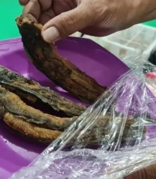 Temuan belatung di menu mbg