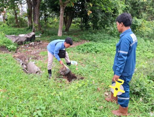 2025, target investasi rp 1,6 t tercapai