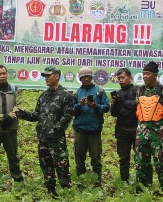 690 hektare hutan dialihfungsikan tanpa izin