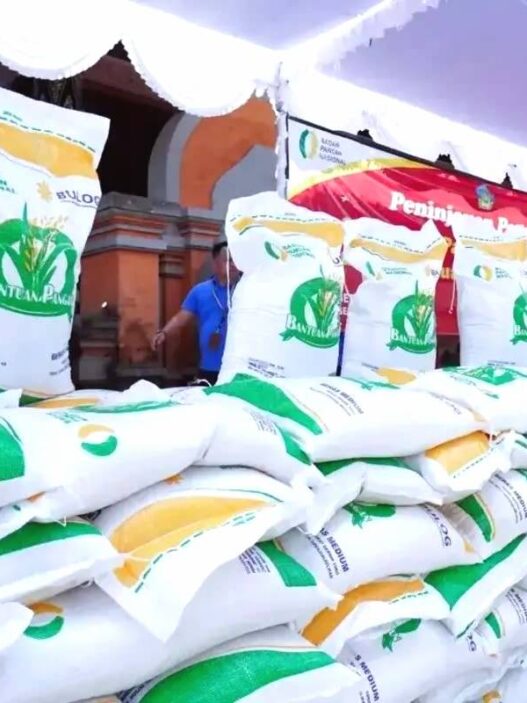 Bansos beras 10 kg agustus 2025