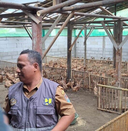 Bau peternakan bebek dikeluhkan