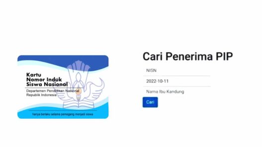 Cara update nisn