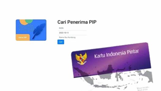 Cek penyebab data pip 2025 tidak valid