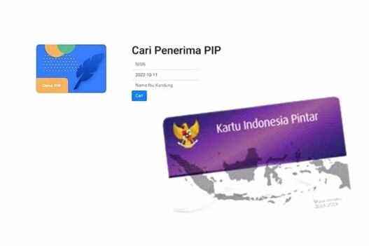 Cek penyebab data pip 2025 tidak valid