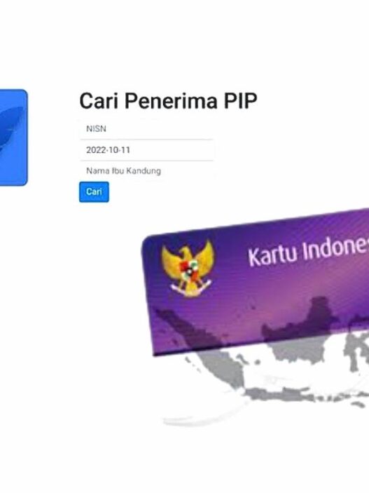 Cek penyebab data pip 2025 tidak valid